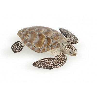 TORTUE CAOUANNE - PAPO