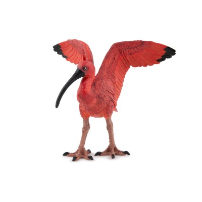 IBIS ROUGE - PAPO