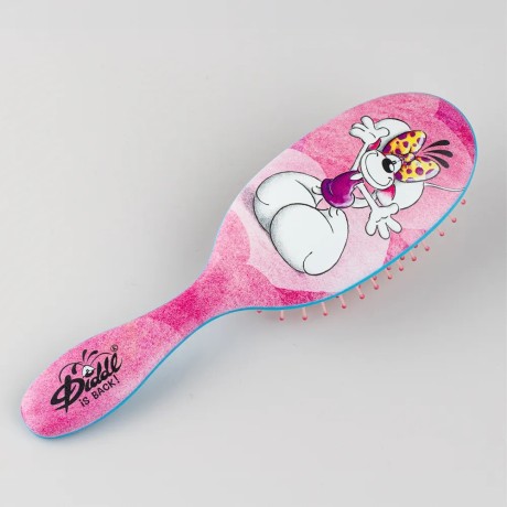 BROSSE A CHEVEUX DIDDL