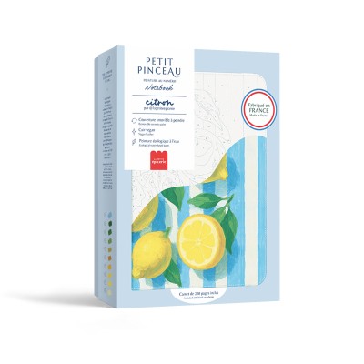 NOTEBOOK A PEINDRE - CITRONS
