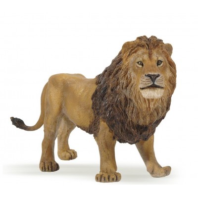 LION  - PAPO